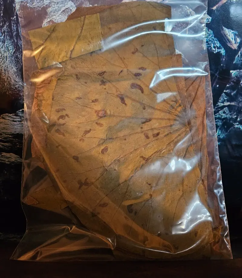 10g Lotusblätter Laub für Garnelen, Krebse, Welse, Lotus Blätter Futter Deko