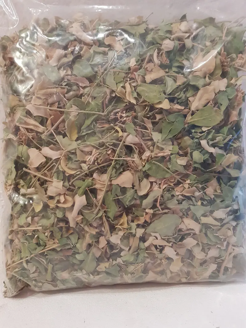 10g Moringablätter Laub Beutel für Garnelen, Welse, Krebse, Moringa Futter