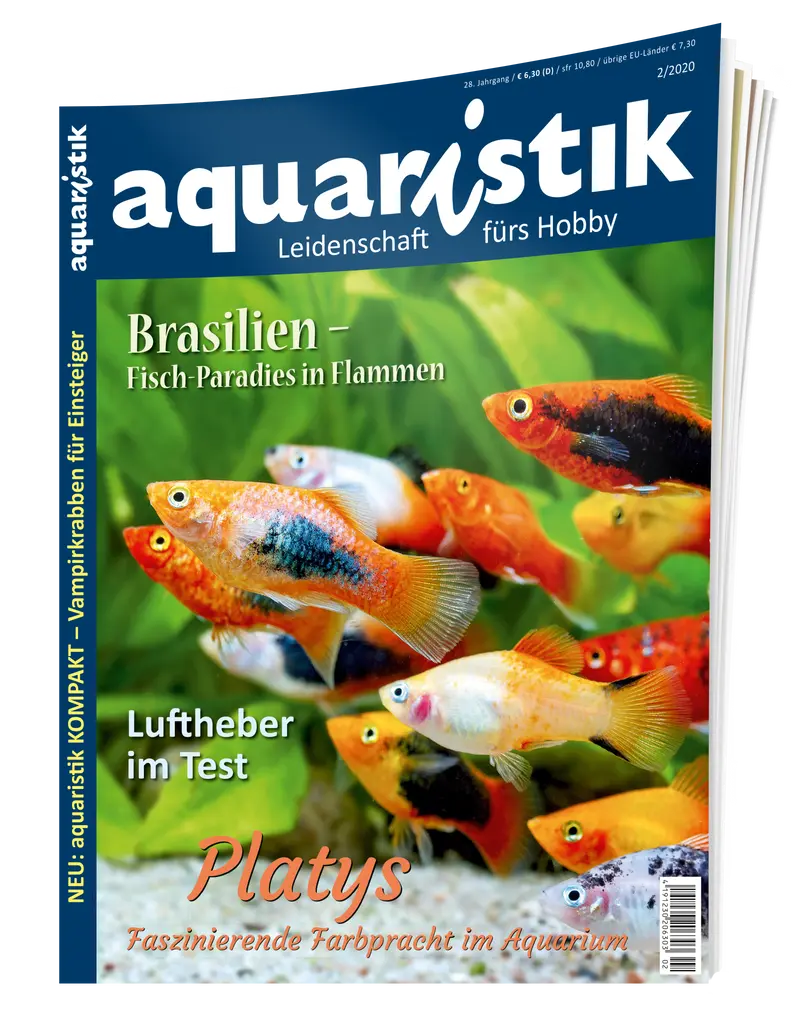 2020/2 aquaristik