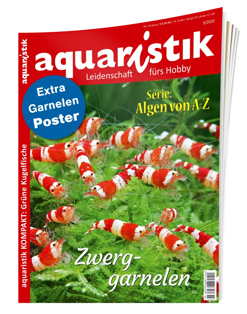 2020/3 aquaristik