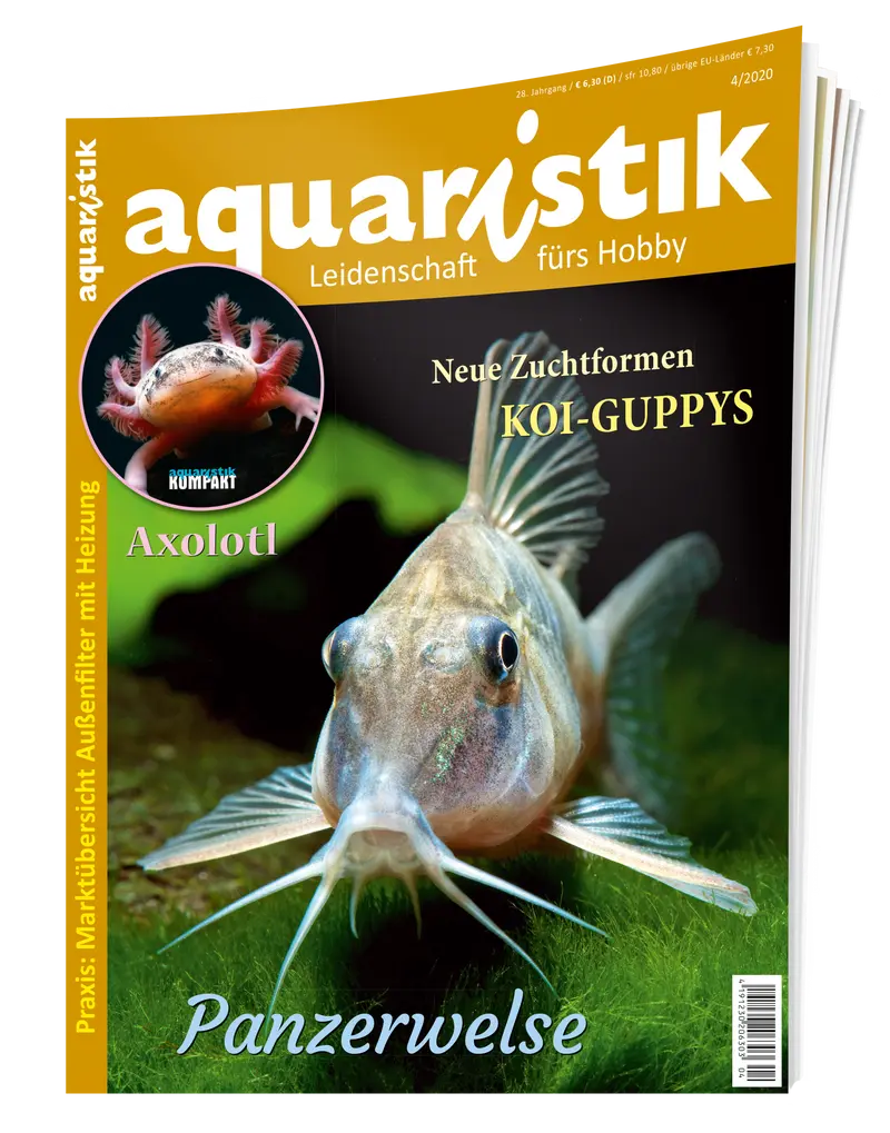 2020/4 aquaristik