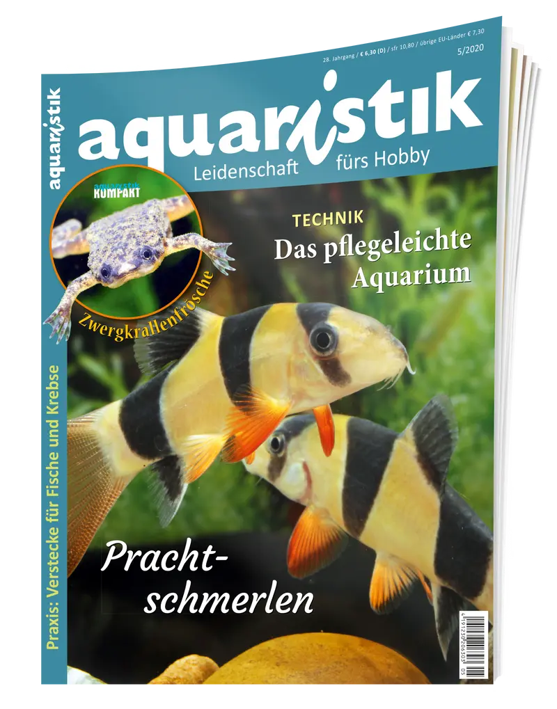 2020/5 aquaristik