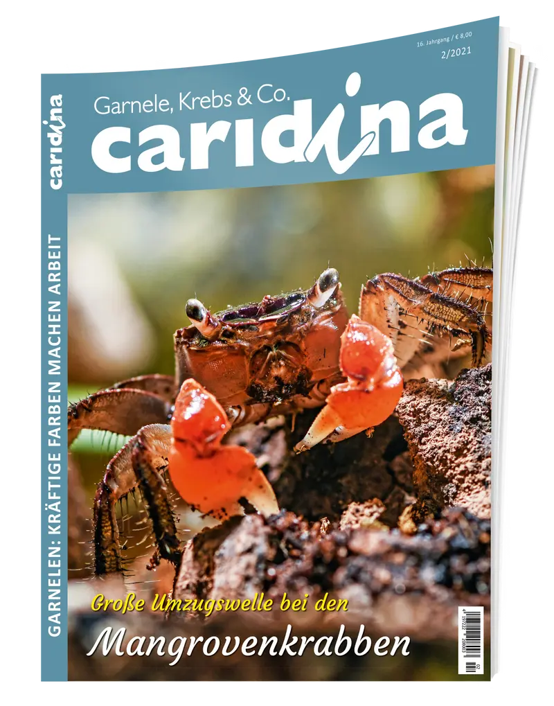 2021/2 caridina