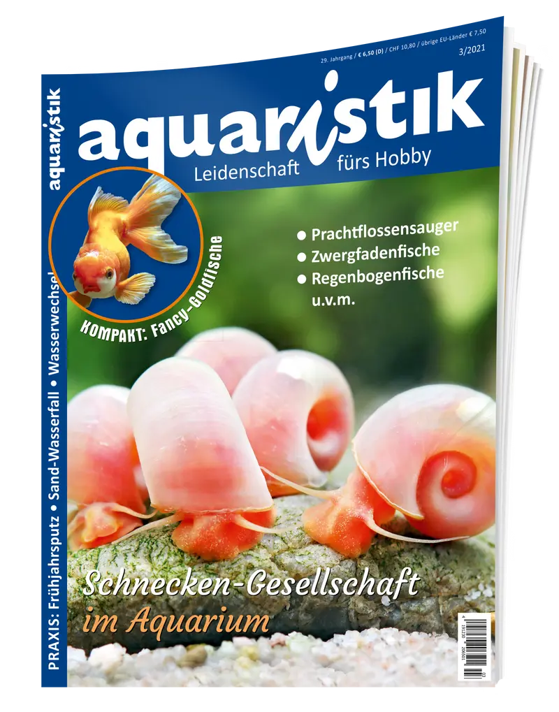 2021/3 aquaristik