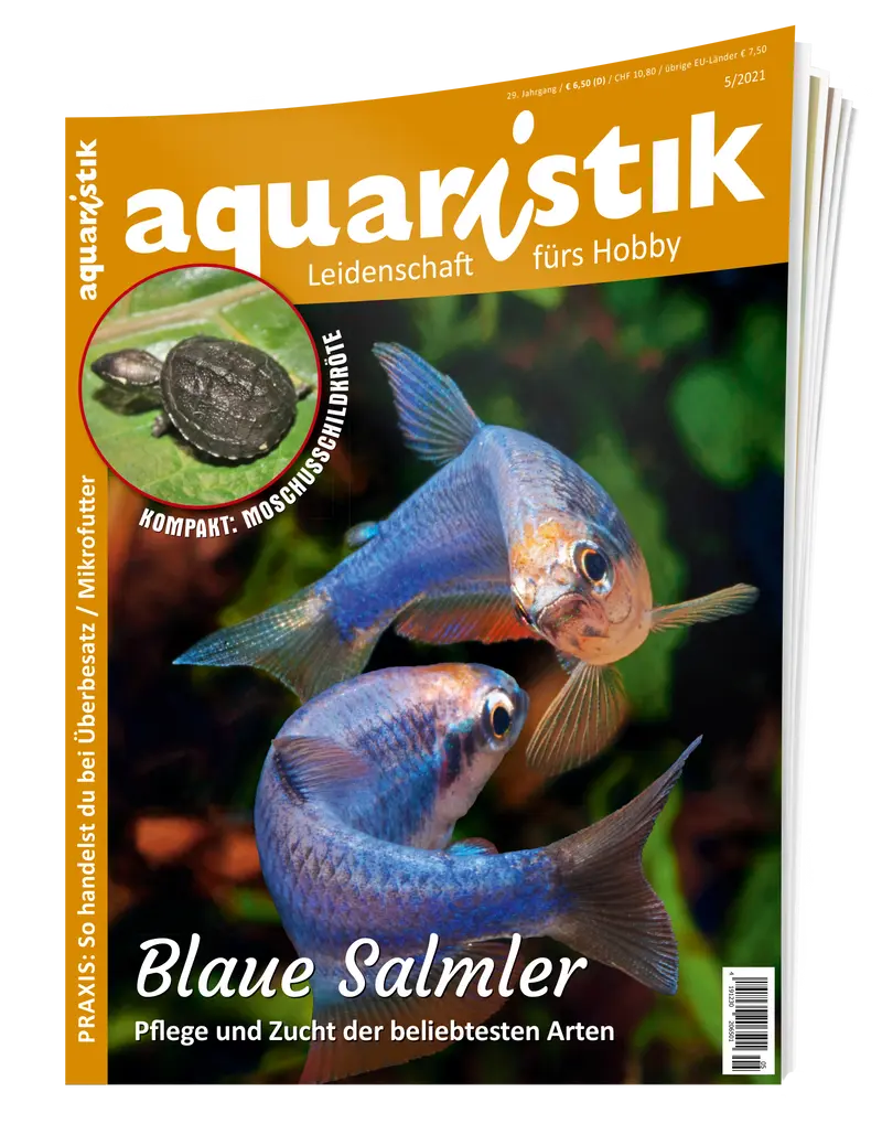 2021/5 aquaristik