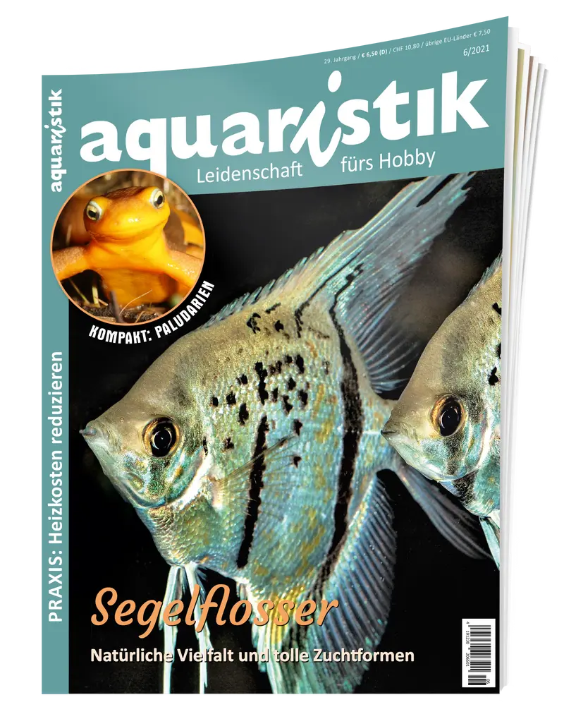 2021/6 aquaristik