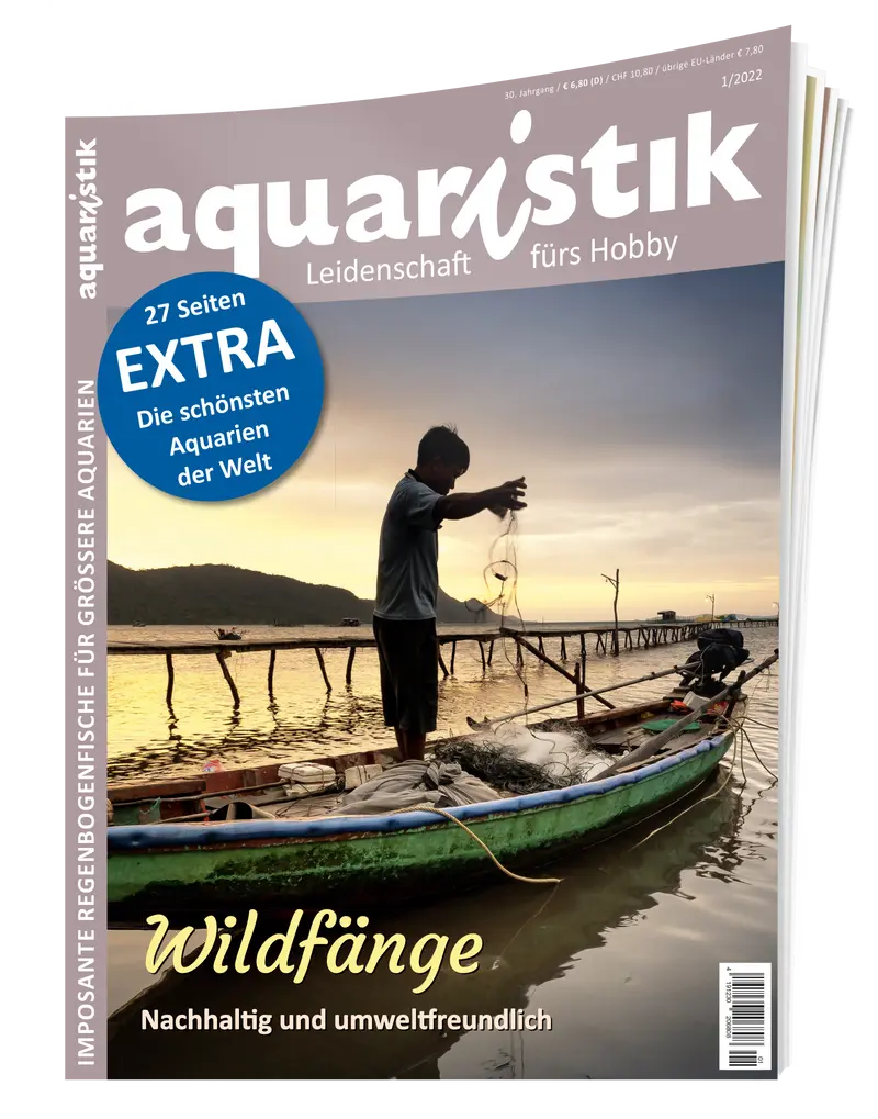2022/1 aquaristik