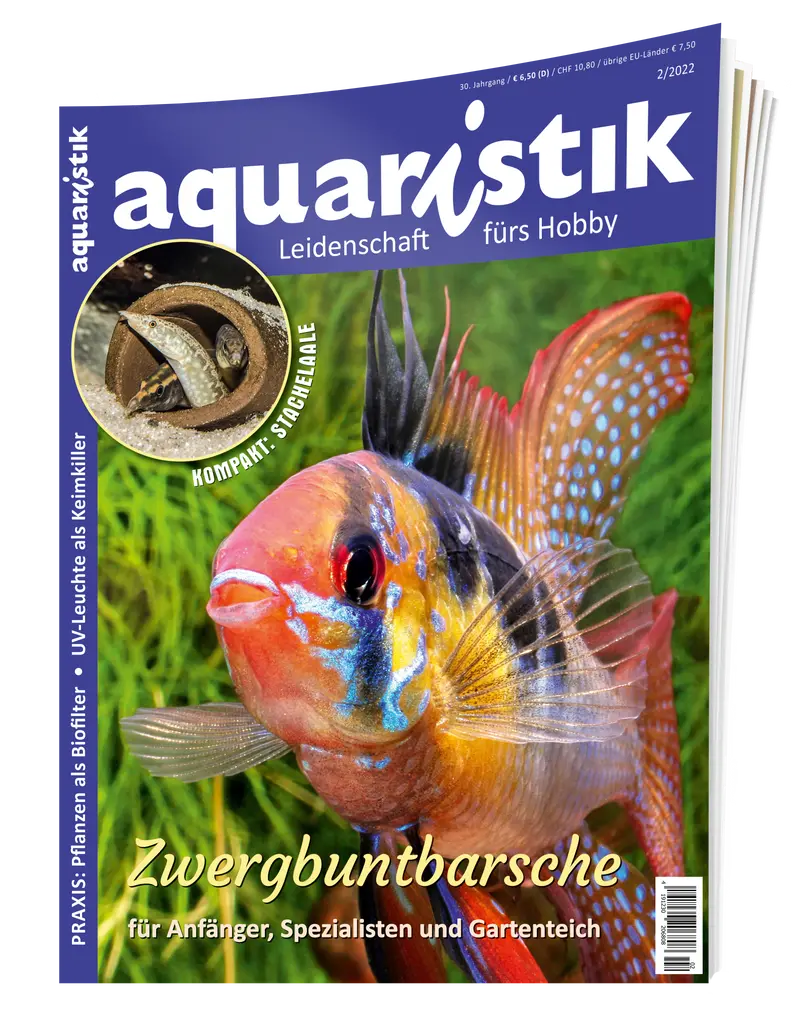 2022/2 aquaristik