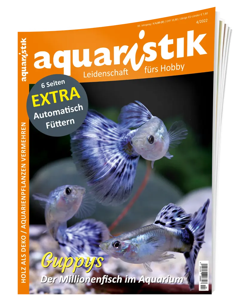 2022/4 aquaristik