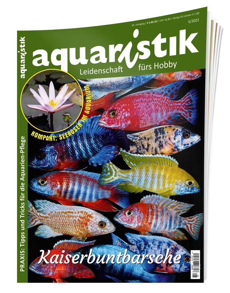 2022/5 aquaristik