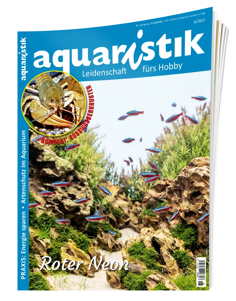 2022/6 aquaristik