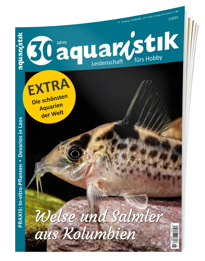 2023/1 aquaristik