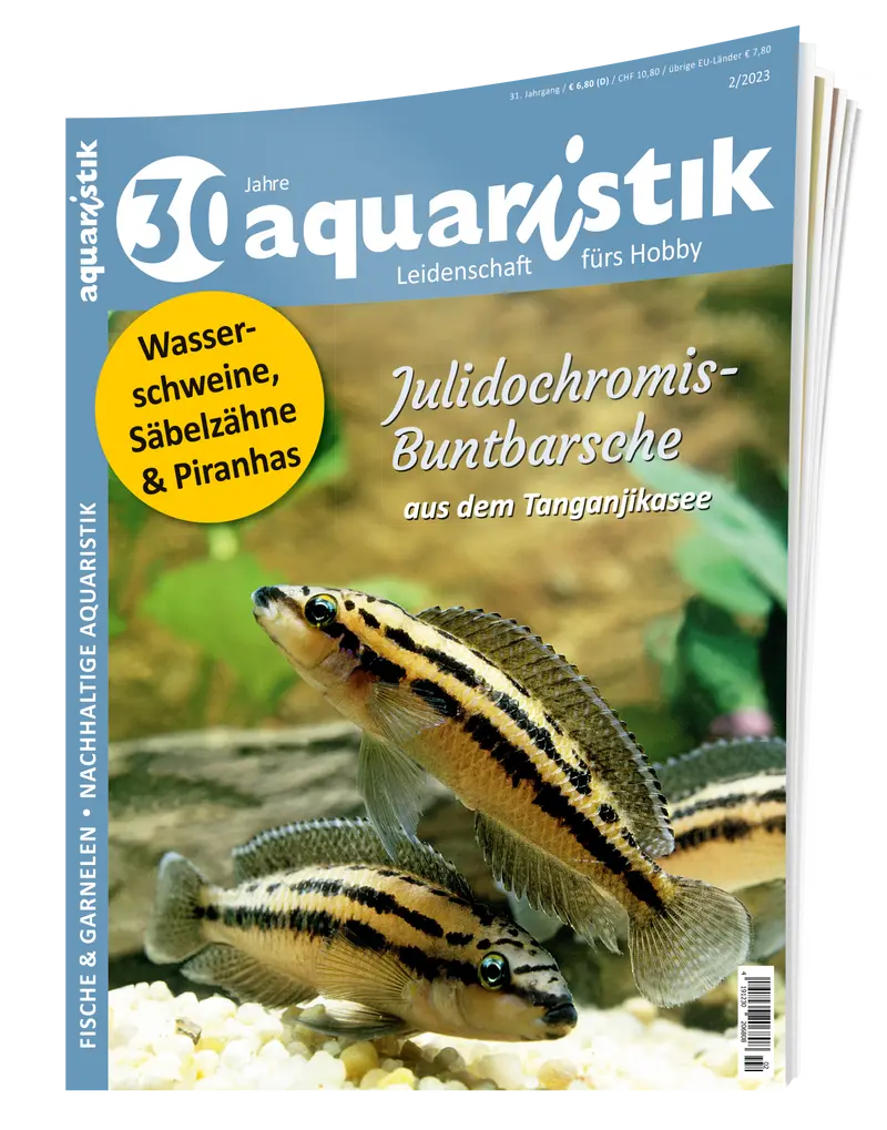 2023/2 aquaristik