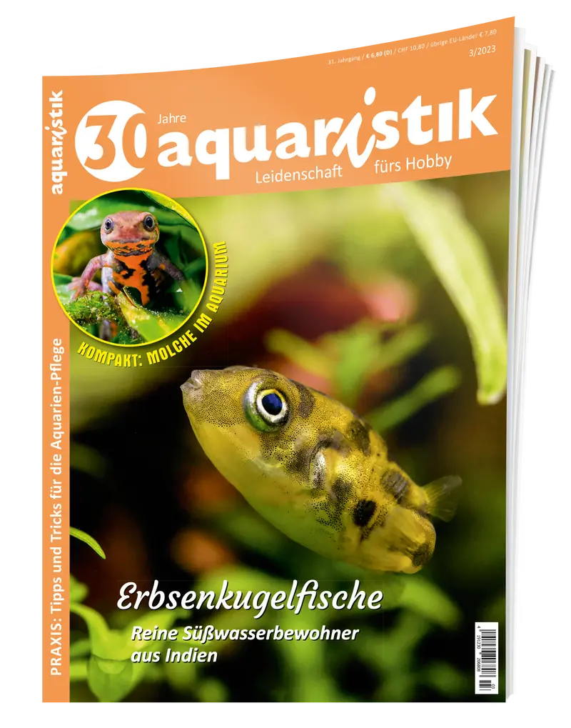 2023/3 aquaristik