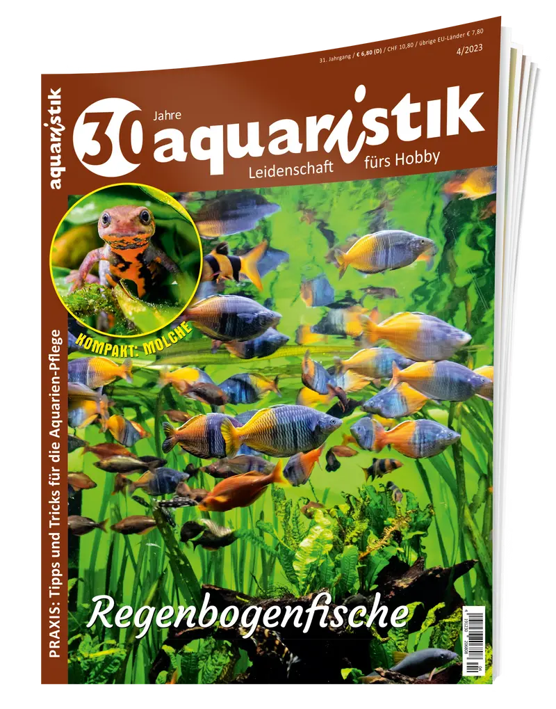 2023/4 aquaristik