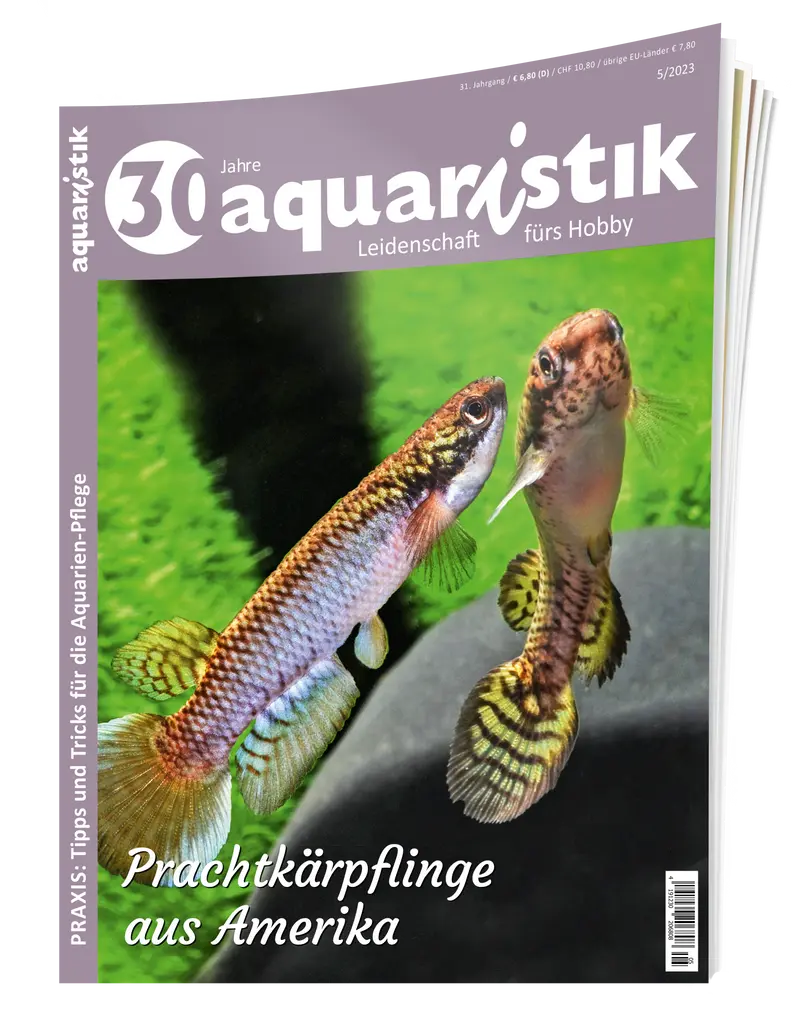 2023/5 aquaristik