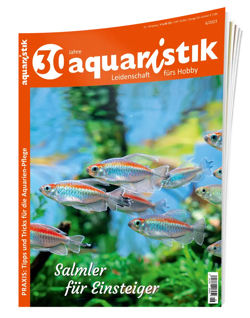 2023/6 aquaristik