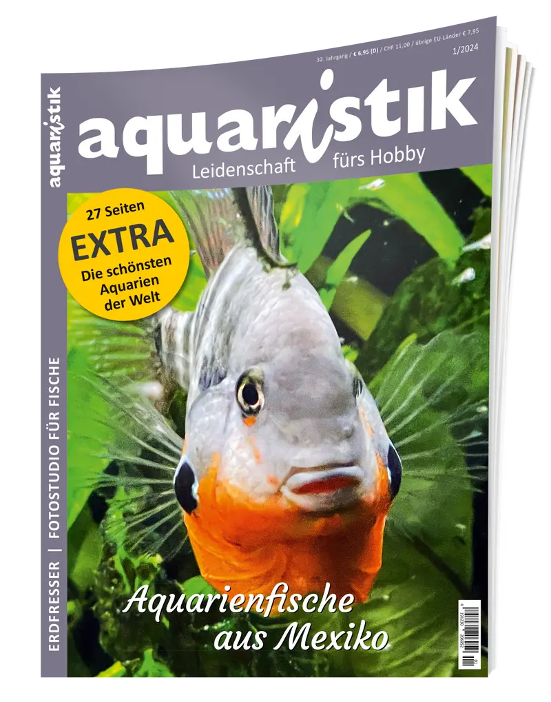 2024/1 aquaristik