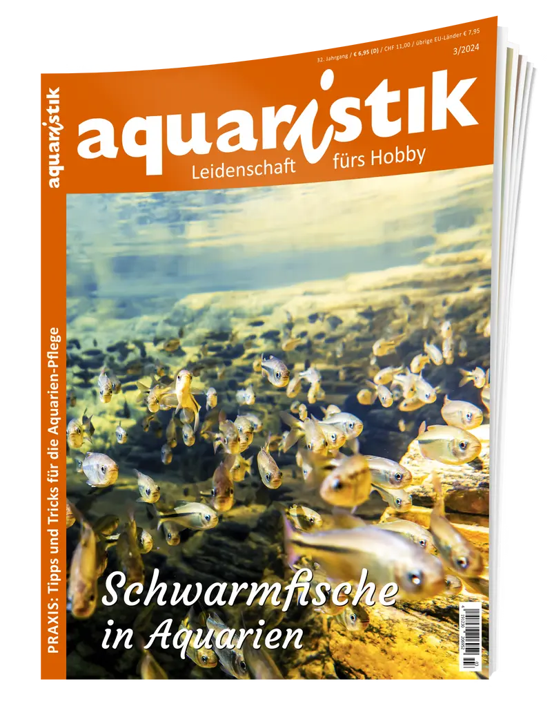 2024/3 aquaristik