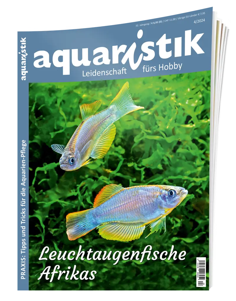 2024/4 aquaristik