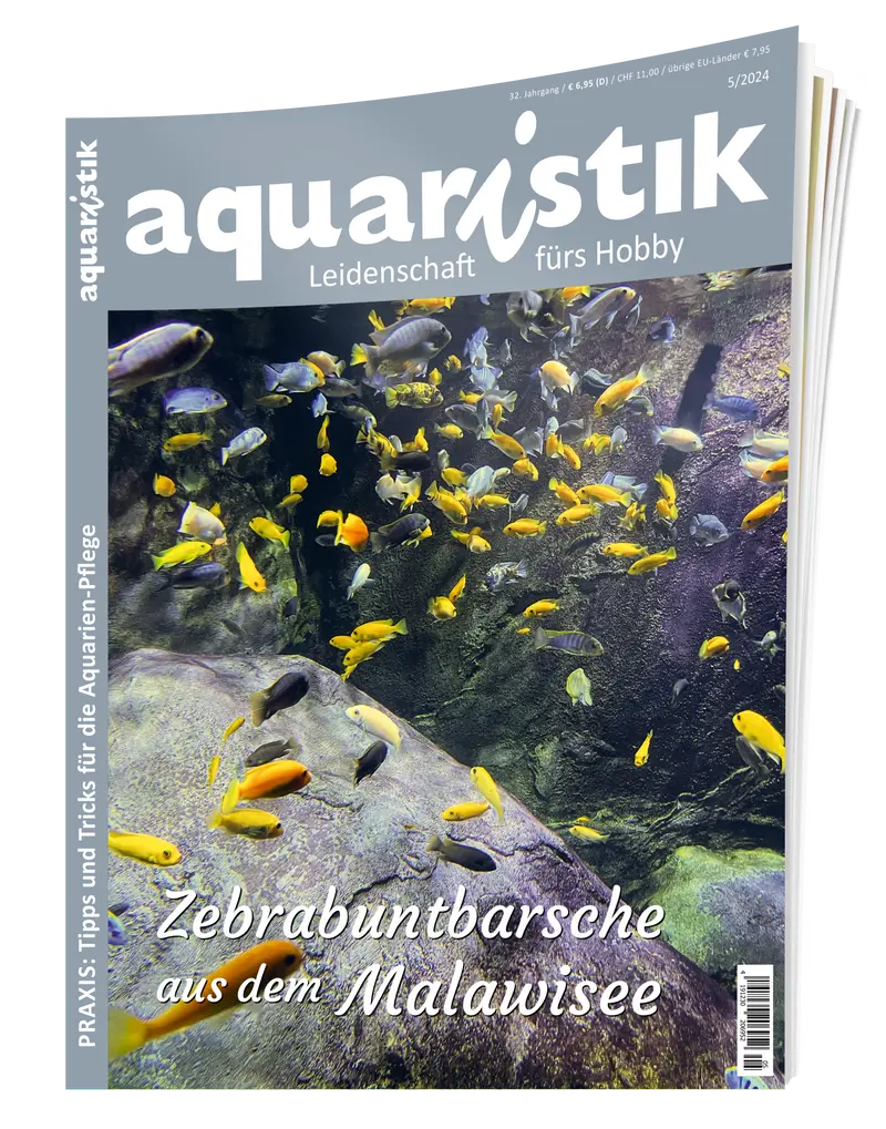 2024/5 aquaristik