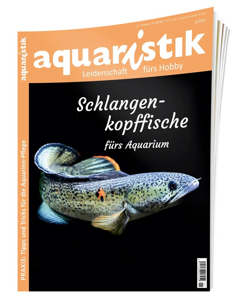2025/2 aquaristik