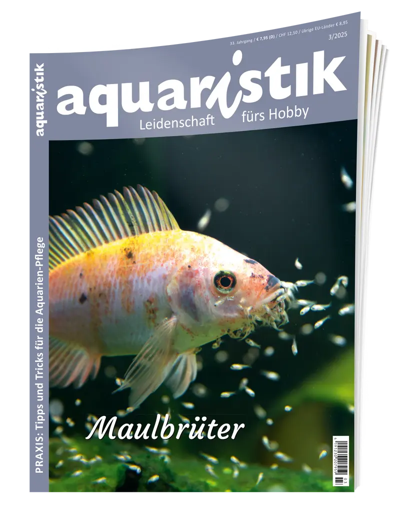 2025/3 aquaristik