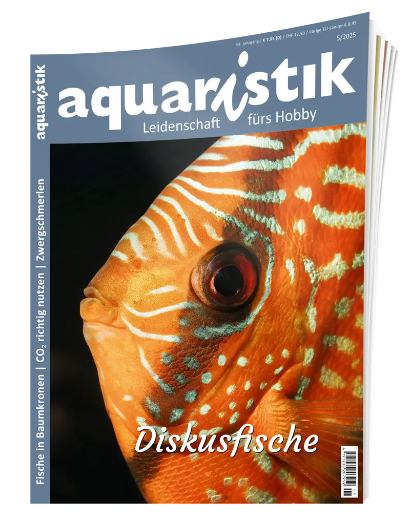 2025/5 aquaristik
