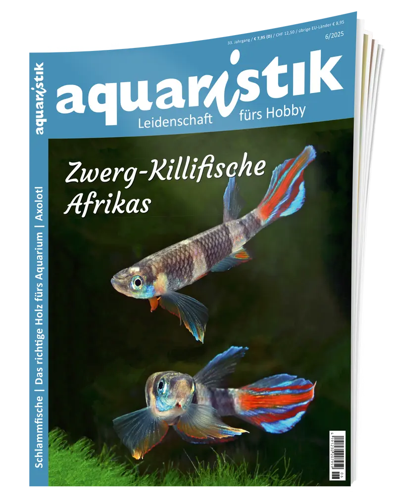 2025/6 aquaristik