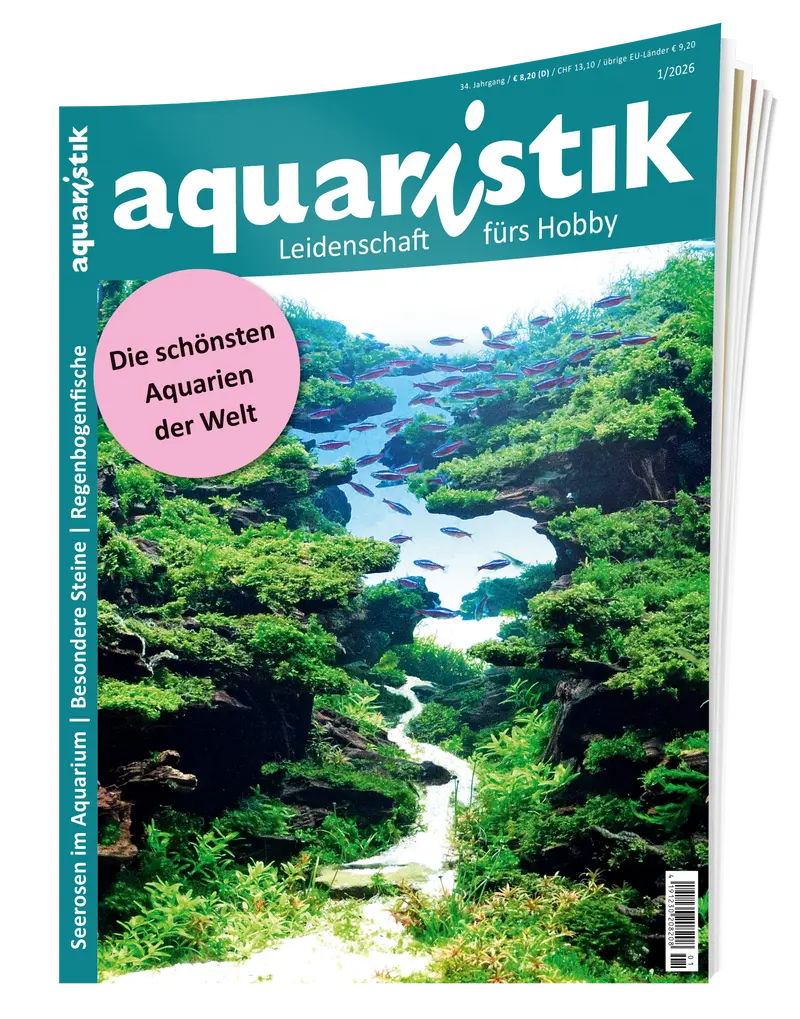 2026/1 aquaristik