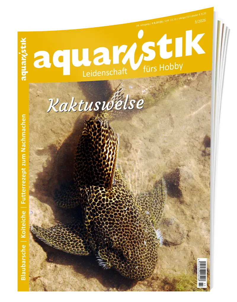 2026/3 aquaristik