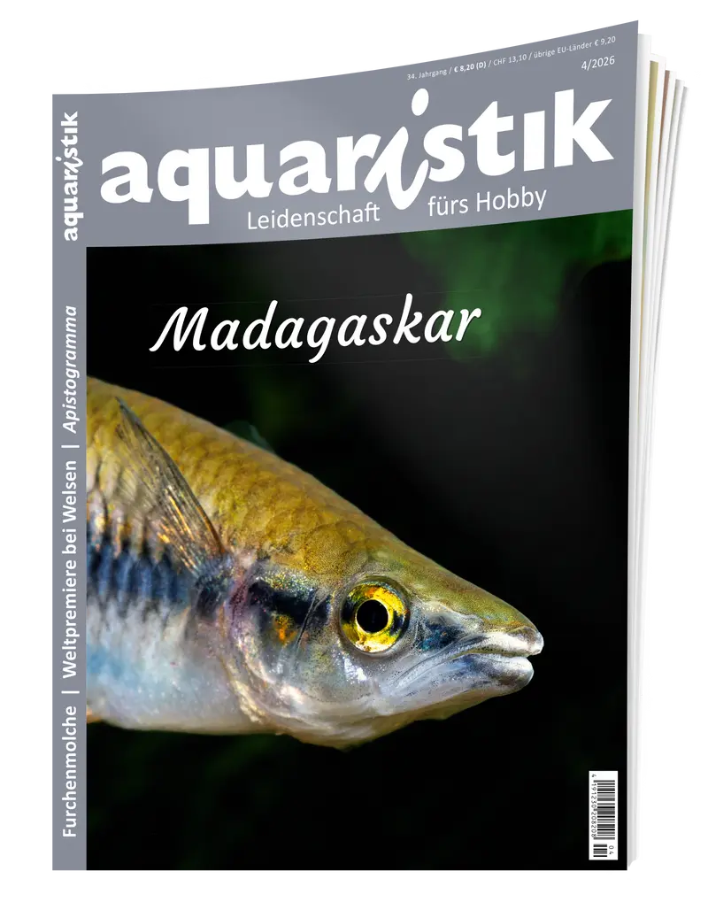 2026/4 aquaristik