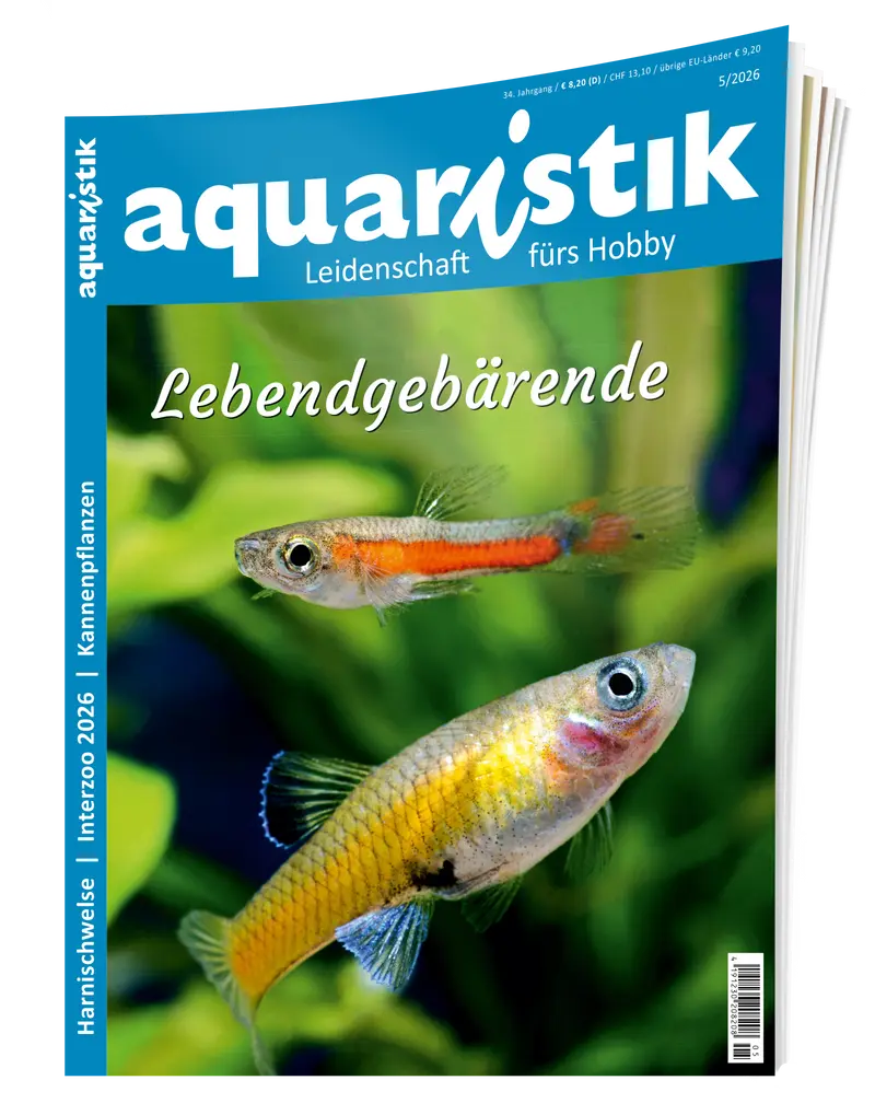 2026/5 aquaristik