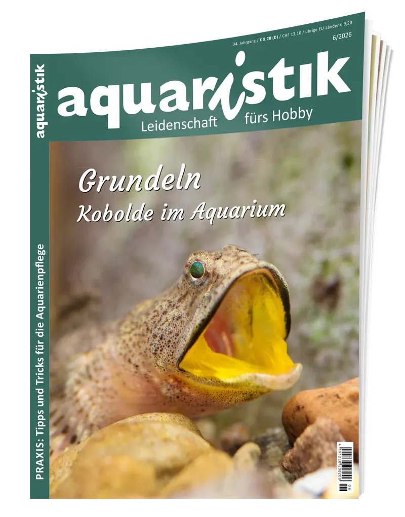 2026/6 aquaristik