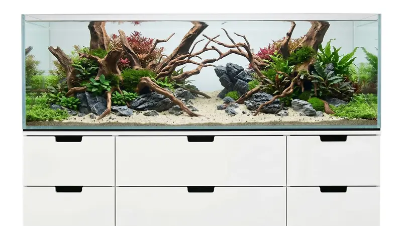 226L Aquarium 160x47x30 cm IKEA Nordli