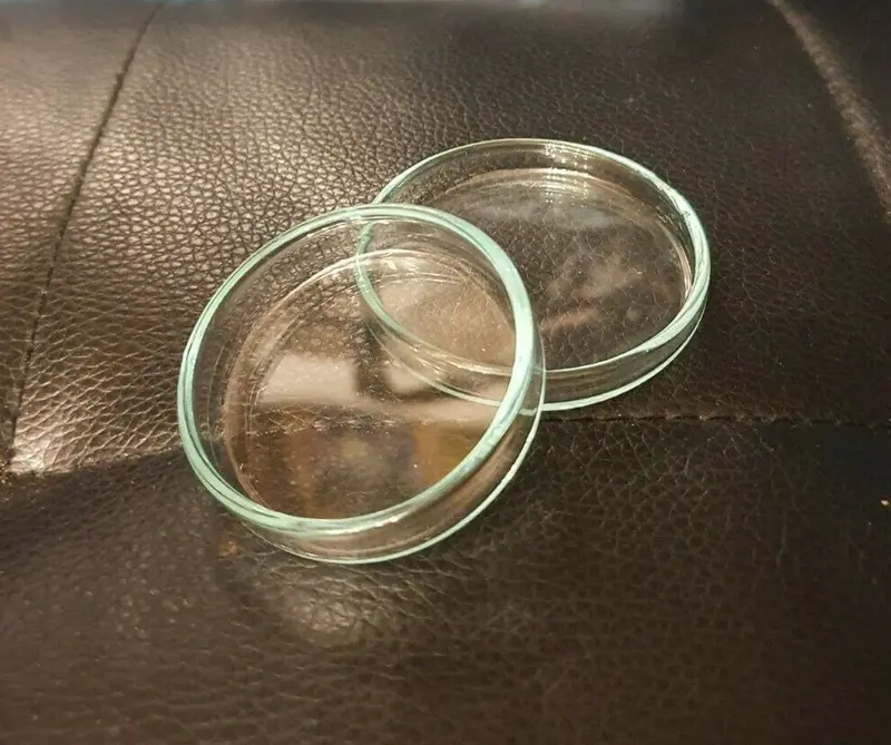 2x Futterschale Glas 4,3cm + 5cm - Garnelenfutter und Sticks - Garnelen Aquarium