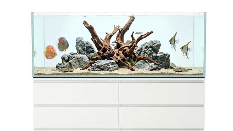 380L Aquarium 160x48x50 cm IKEA Malm