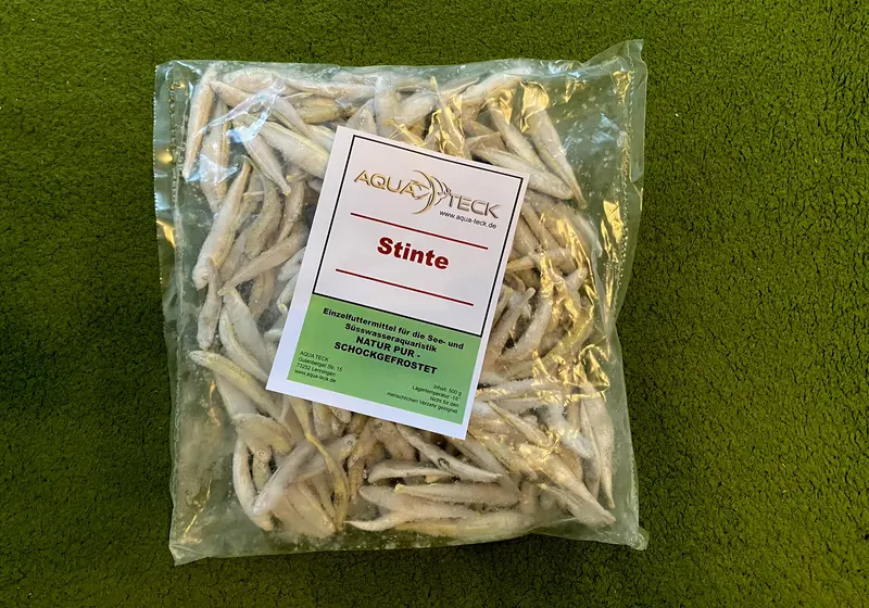 500g Stinte - Frostfutter