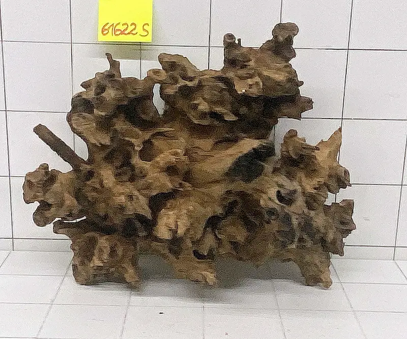 61622S Samoa Wurzel Holz XL