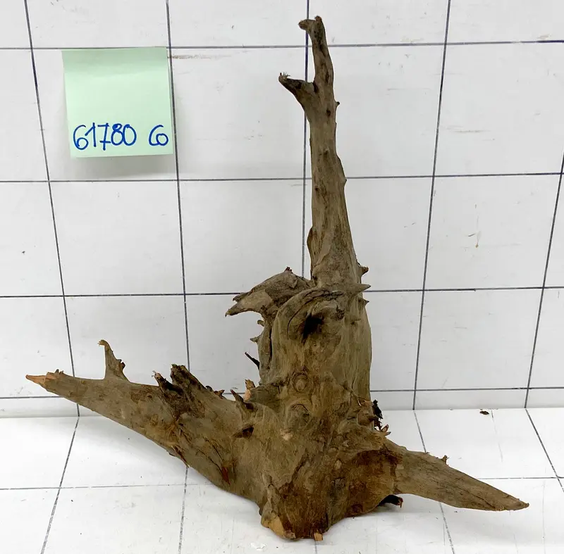61780CO - Corbo Wurzel Holz