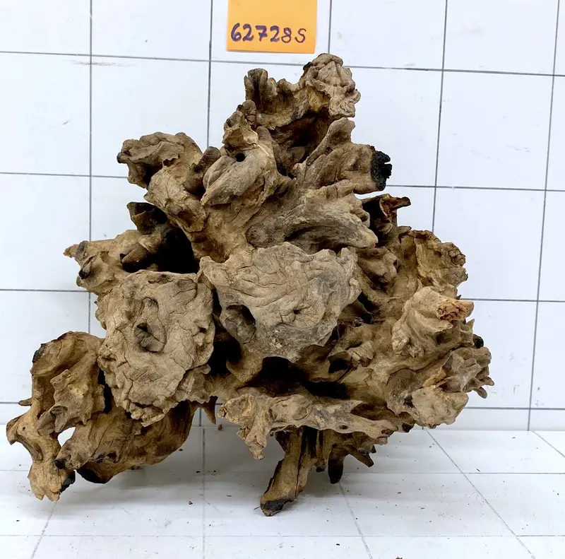 62728S Samoa Wurzel Holz