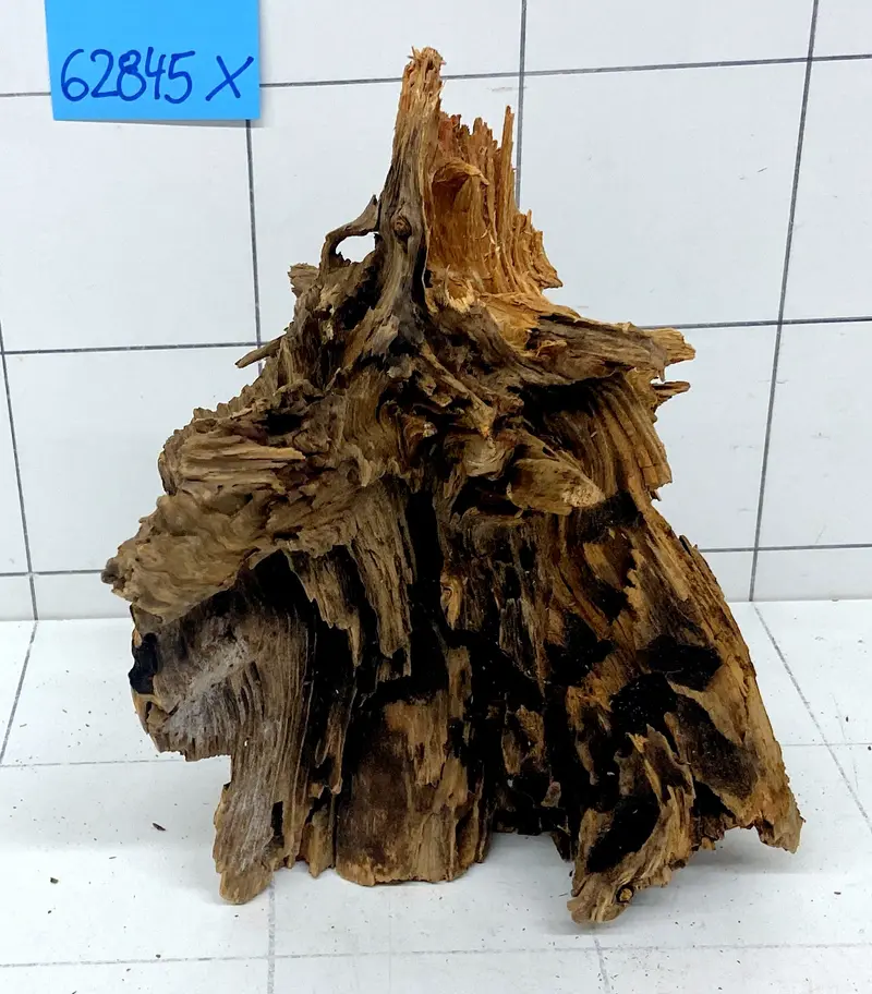 62845X - XINGU Wood Wurzelholz
