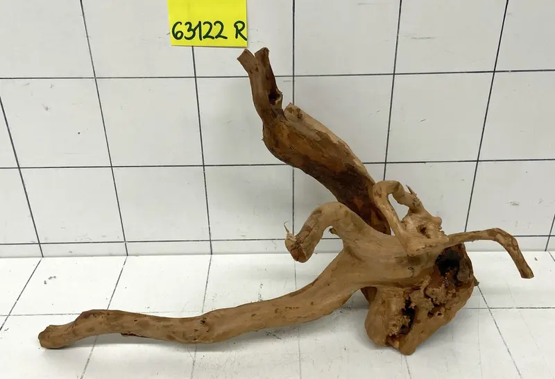 63122R Fingerwood / Rote Moorwurzel Holz