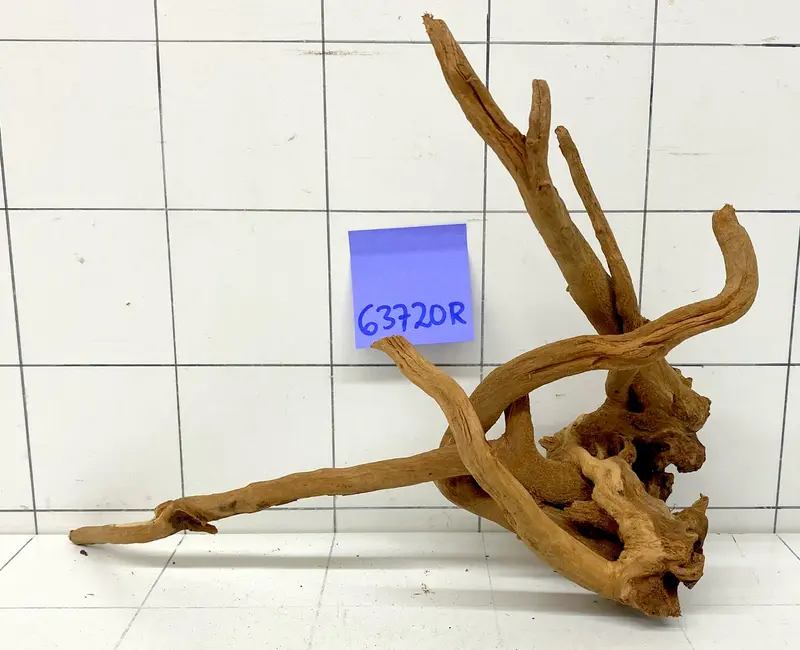 63720R Fingerwood / Rote Moorwurzel Holz