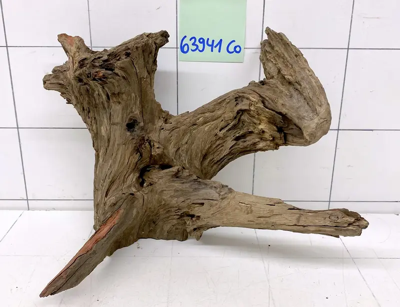 63941CO - Corbo Wurzel Holz