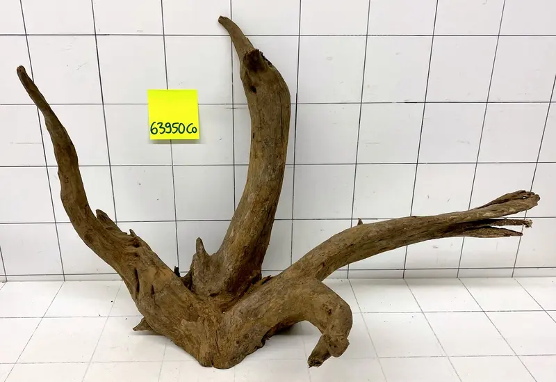 63950CO - Corbo Wurzel Holz