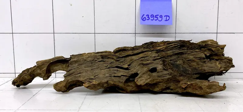 63959D - Drachenholz / Dragonwood