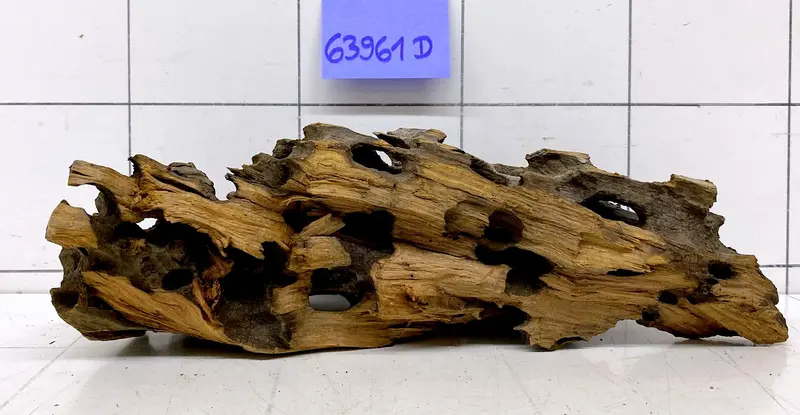 63961D - Drachenholz / Dragonwood