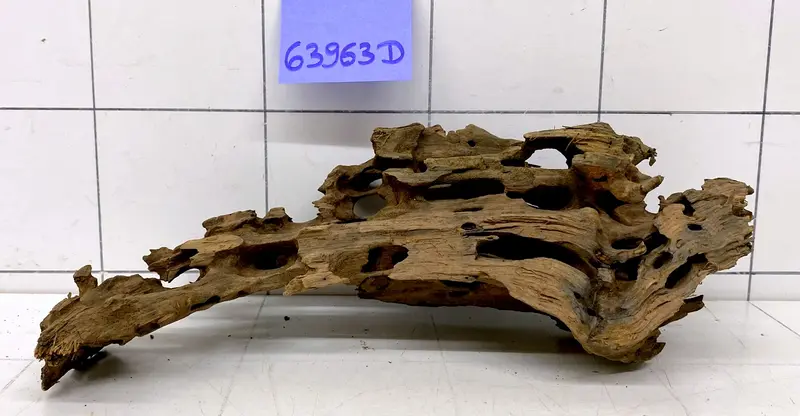 63963D - Drachenholz / Dragonwood