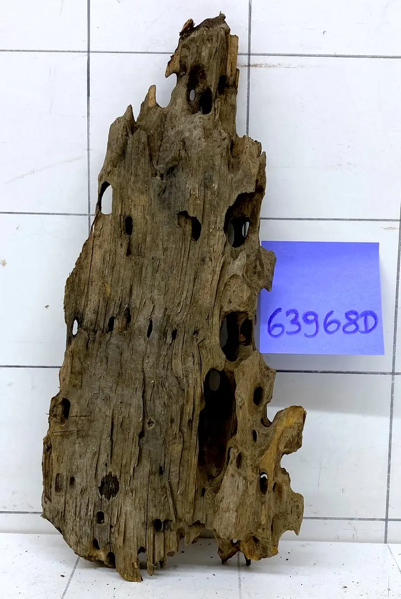 63968D - Drachenholz / Dragonwood